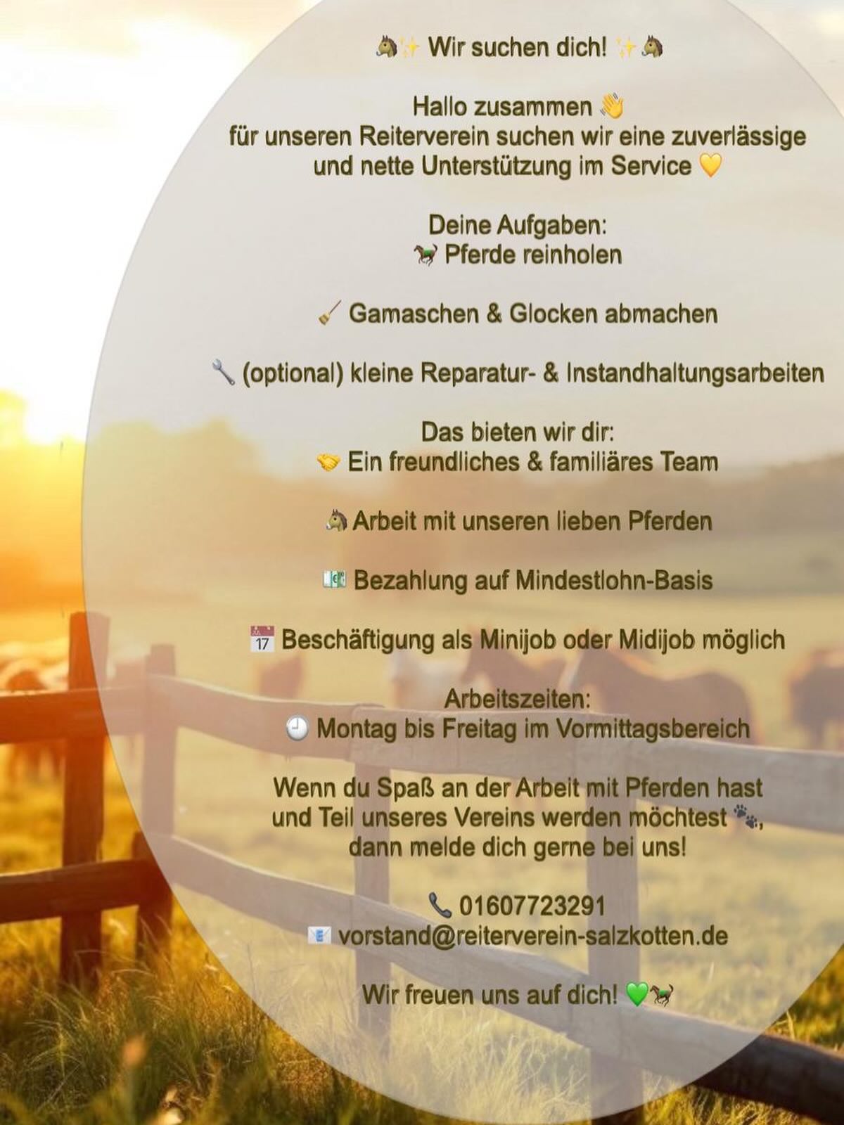 Du arbeitest gerne mit Pferden zusammen und suchst eine Mini oder Midijob ? Dann melde dich doch gerne bei uns, entweder über die oben angegebenen Kontakte oder hier per DM. Wir freuen uns auf dich ☺️